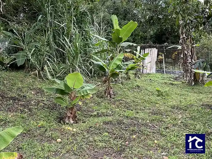 San José lote 2b Urbanización California